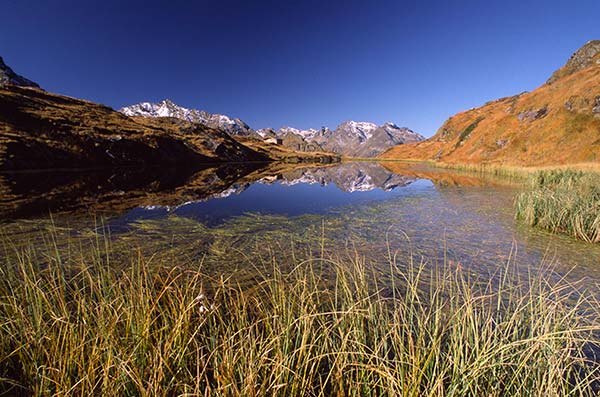 Berglisee