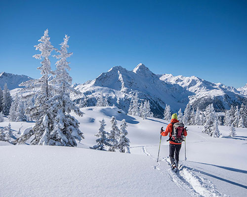 Winter Schneeschuhwandern