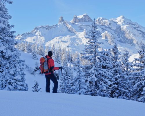 Schneeschuhwandern Gauertal